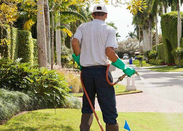 About Vincent IA Pest Control